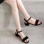 Giày Sandal Nữ Mùa Hè Phong Cách Mới Gót Vừa Dày Giày Nữ Một Khóa Đa Năng Giày Nữ Thời Trang