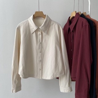 chiếc áo sơ mi chải chuốt phong cách Hàn Quốc mới mùa xuân thu dài tay đơn giản giản dị dáng ngắ