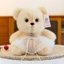 Gấu bông sang trọng 8 inch với mặt dây chuyền trái tim tình yêu và váy trang trí cho trẻ em
