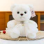 Đồ chơi gấu bông sang trọng cho trẻ em với mặt dây chuyền trái tim tình yêu và váy trang trí cho trẻ em