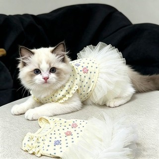 [Hàng có sẵn] Váy phồng công chúa thoáng khí cho mèo mùa hè 0,5-6kg