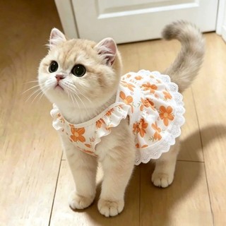 [Hàng có sẵn] Váy công chúa đeo chéo chống trơn thoáng khí cho mèo mùa hè