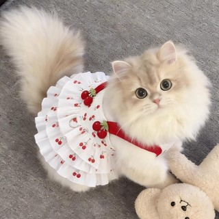 Váy đào hè mèo ren dây dắt, mỏng thoáng khí chó mèo 0,5-6,5kg