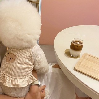 [Sẵn Sàng] Áo Vest Thú Cưng Ren Gấu Kẻ Sọc Dễ Thương Bốn Mùa Phù Hợp Với Teddy Bichon Quần Áo Mèo Nhỏ Size Vừa 1-8kg