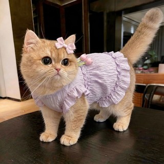 [Hàng có sẵn] Váy mỏng dễ thương mùa hè chống xỉn màu cho mèo 0,5-9kg