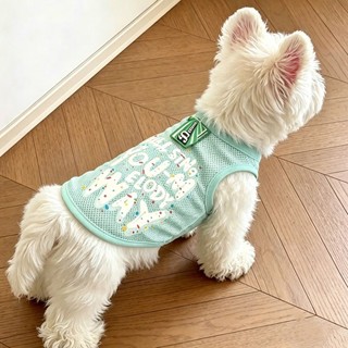 [Hàng có sẵn] Áo Vest lưới thoáng khí in chữ cho chó mèo mùa hè 1-10,5kg