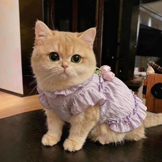 [Hàng có sẵn] Váy mỏng dễ thương mùa hè chống xỉn màu cho mèo 0,5-9kg