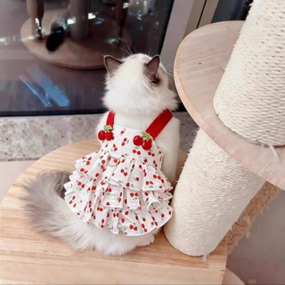 Váy đào hè mèo ren dây dắt, mỏng thoáng khí chó mèo 0,5-6,5kg