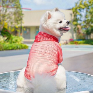 [Hàng có sẵn] Quần áo chống nắng có mũ trùm đầu bằng lưới mỏng mùa hè dành cho chó Quần áo thú cưng nhẹ thoáng khí chuyên dụng 1-8,5kg