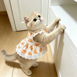 [Hàng có sẵn] Váy công chúa đeo chéo chống trơn thoáng khí cho mèo mùa hè