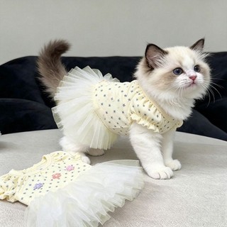 [Hàng có sẵn] Váy phồng công chúa thoáng khí cho mèo mùa hè 0,5-6kg