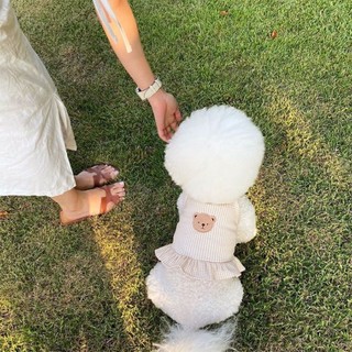 [Sẵn Sàng] Áo Vest Thú Cưng Ren Gấu Kẻ Sọc Dễ Thương Bốn Mùa Phù Hợp Với Teddy Bichon Quần Áo Mèo Nhỏ Size Vừa 1-8kg