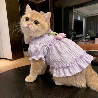 [Hàng có sẵn] Váy mỏng dễ thương mùa hè chống xỉn màu cho mèo 0,5-9kg