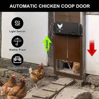 Cổng chuồng gà cảm biến năng lượng mặt trời với hệ thống cuộn tự động để quản lý gia cầm