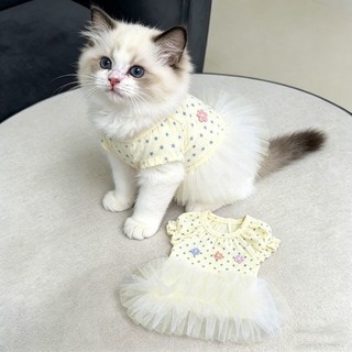 [Hàng có sẵn] Váy phồng công chúa thoáng khí cho mèo mùa hè 0,5-6kg