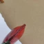 Ping Ping An 'an Handmade Lớp Đầu Tiên Da Bò Móc Khóa Túi Mặt Dây Chuyền Phụ Kiện Da Dễ Thương Mặt Dây Chuyền Tốt Lành