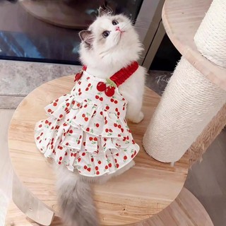 Váy đào hè mèo ren dây dắt, mỏng thoáng khí chó mèo 0,5-6,5kg
