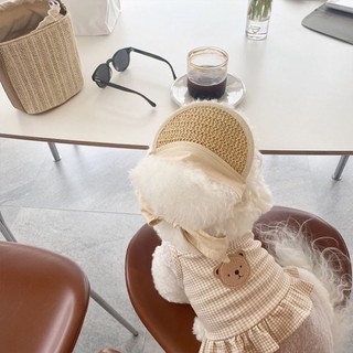 [Sẵn Sàng] Áo Vest Thú Cưng Ren Gấu Kẻ Sọc Dễ Thương Bốn Mùa Phù Hợp Với Teddy Bichon Quần Áo Mèo Nhỏ Size Vừa 1-8kg