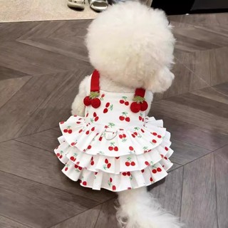 Váy đào hè mèo ren dây dắt, mỏng thoáng khí chó mèo 0,5-6,5kg