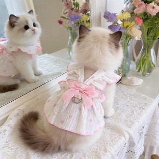 [Hàng có sẵn] Váy mỏng dễ thương thoáng khí mùa hè cho mèo 0,5-6,5kg