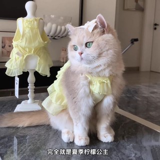[Hàng có sẵn] Váy công chúa đeo chanh cho chó nhỏ Áo Vest thoáng khí cho mèo