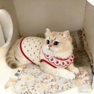 Cat Cherry Vest Mùa hè Thú cưng Quần áo mỏng thoáng khí 0,5-7,5k