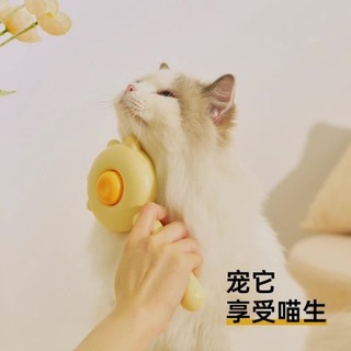 Lược chải lông cho chó mèo, loại bỏ lông nổi, massage, thiết bị chăm sóc thú cưng