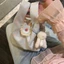 Mùa Xuân Và Mùa Hè Mới Màu Xanh Bạc Hà Họa Tiết Hoa Túi Xách Làm Đồ Lặt Vặt Nhỏ Túi Tote Hàn Q