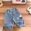 Quần Jean Bé Trai Xuân Thu Phong Cách Mới Trẻ Em Quần Bố Rộng Quần Denim Bé Trai Quần Denim Phon