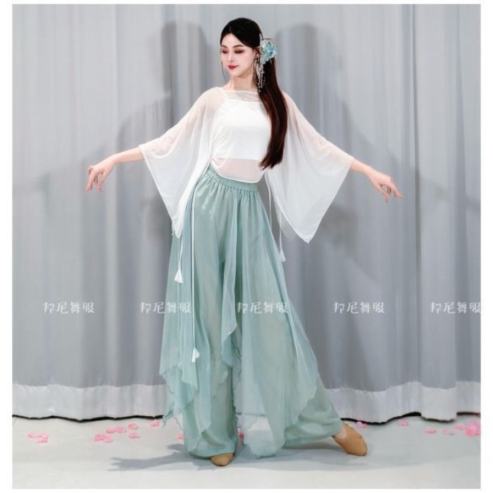 Khiêu vũ cổ điển vần gạc của phụ nữ thanh lịch áo lưới lỏng lẻo top quần áo luyện tập khiêu vũ hiện