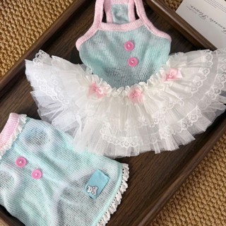[Hàng có sẵn] Áo Vest mùa hè cho thú cưng mèo Hàn Quốc Váy thú cưng Quần áo thoáng khí cho chó 0,5-7,5kg
