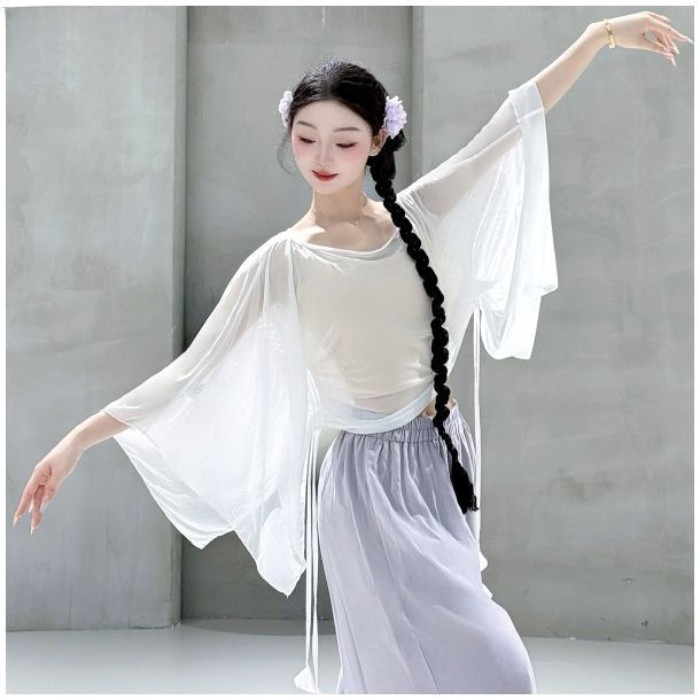 Khiêu vũ cổ điển vần gạc của phụ nữ thanh lịch áo lưới lỏng lẻo top quần áo luyện tập khiêu vũ hiện