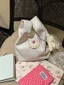 Mùa Xuân Và Mùa Hè Mới Màu Xanh Bạc Hà Họa Tiết Hoa Túi Xách Làm Đồ Lặt Vặt Nhỏ Túi Tote Hàn Q