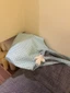 Mùa Xuân Và Mùa Hè Mới Màu Xanh Bạc Hà Túi Đeo Vai Da Lộn Kẻ Sọc Hai Mặt Túi Tote Phía Sau Đi