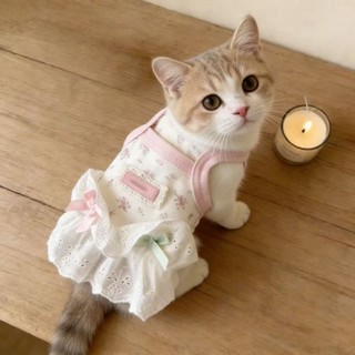 [Hàng có sẵn] Áo Vest chống trơn mùa hè cho mèo
