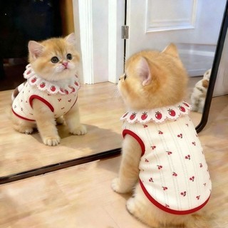Cat Cherry Vest Mùa hè Thú cưng Quần áo mỏng thoáng khí 0,5-7,5k