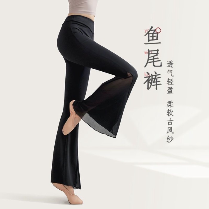 Múa Trung Quốc múa cổ điển thanh lịch quần đuôi cá lưới tập quần múa dân tộc người lớn tập múa q