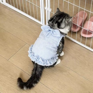 Áo Vest Nơ Mèo Quần Áo Thú Cưng Chống Trơn Thoáng Khí