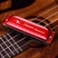 Swan Harmonica Reharmonization 24 lỗ dành cho người mới bắt đầu có lỗ che bạc bằng nhựa và