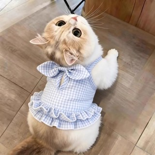 Áo Vest Nơ Mèo Quần Áo Thú Cưng Chống Trơn Thoáng Khí