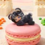 Búp bê sang trọng dễ thương Raccoon với mái tóc ngắn dành cho nhà sưu tập trang trí và phòng chơi