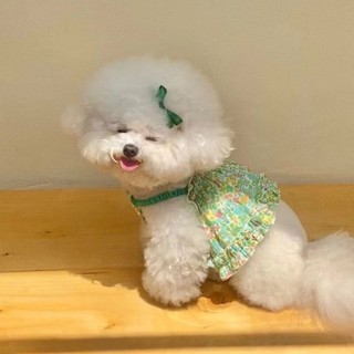 [Hàng cho thú cưng dễ thương] Váy công chúa hoa mèo Trang phục mùa hè cho thú cưng 1-6kg