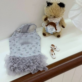 [Hàng cho thú cưng dễ thương] Váy ren mèo mùa hè mỏng dễ thương Quần áo thú cưng nhỏ 1-7kg