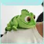 Vai Chameleon Sang Trọng Đồ Chơi Thú Nhồi Bông Trang Trí Phòng Búp Bê Kid Companion