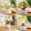 Búp bê sang trọng Blossom Iris với Polyester cao cấp dành cho giọng nói và bộ sưu tập gia đình