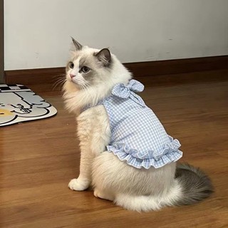 Áo Vest Nơ Mèo Quần Áo Thú Cưng Chống Trơn Thoáng Khí