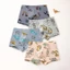 Quần Lót Boxer Bé Trai Loại A Quần Lót Boxer Cotton Nguyên Chất Dành Cho Học Sinh Tiểu Học, Trun