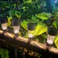 Đèn chống nước bể bơi năng lượng mặt trời có đèn chiếu sáng sân lắp đặt dễ dàng cho