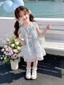 Váy Nữ Mùa Hè Phong Cách Mỏng Áo Vest Không Tay Thời Trang Váy Cho Bé Gái Váy Voan Công Chúa Mới