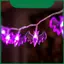 Đèn Led dây Halloween ma thuật nhấn mạnh với bí ngô sống động Nhện bộ xương để trang trí cửa sổ kỳ quái